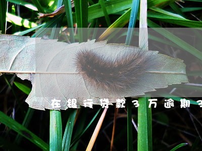 在银行贷款3万逾期3年费用 在银行贷款3万逾期3年费用