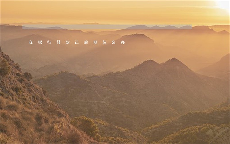 在银行贷款已逾期怎么办 在银行贷款已逾期怎么办