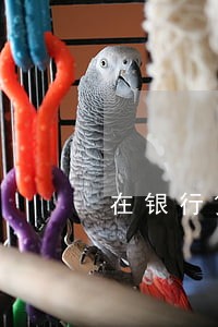 在银行贷款逾期一周 在银行贷款逾期一周