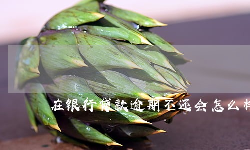 在银行贷款逾期不还会怎么样 在银行贷款逾期不还会怎么样