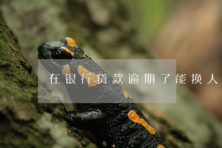 在银行贷款逾期了能换人吗 在银行贷款逾期了能换人吗