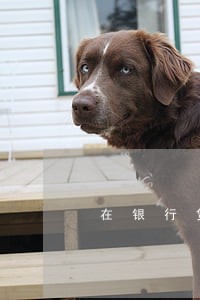 在银行贷款逾期会有什么后果 在银行贷款逾期会有什么后果