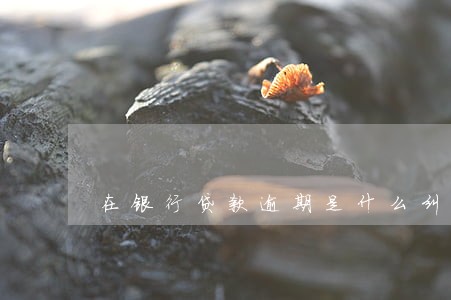 在银行贷款逾期是什么纠纷