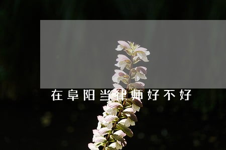 在阜阳当律师好不好 在阜阳当律师好不好
