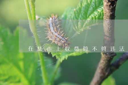 在集市上收费算不算违法 在集市上收费算不算违法