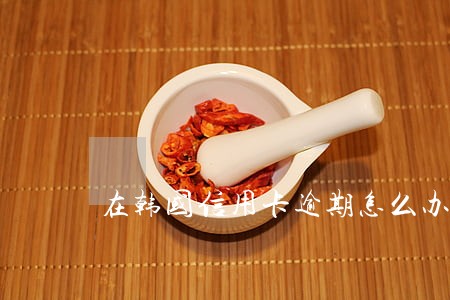 在韩国信用卡逾期怎么办 在韩国信用卡逾期怎么办
