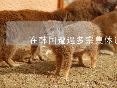 在韩国遭遇多宗集体诉讼 在韩国遭遇多宗集体诉讼