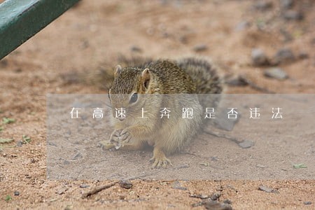 在高速上奔跑是否违法