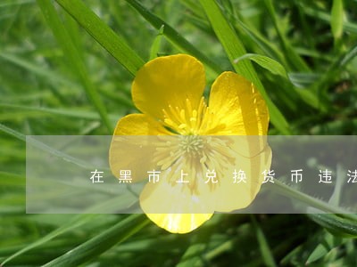 在黑市上兑换货币违法吗 在黑市上兑换货币违法吗