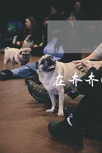 在齐齐哈尔离婚的话上哪办理 在齐齐哈尔离婚的话上哪办理