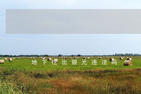 地下挖出银元违法吗 地下挖出银元违法吗