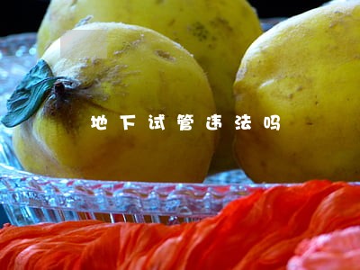 地下试管违法吗 地下试管违法吗