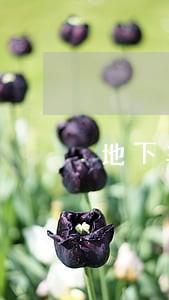 地下车库通道违法占用 地下车库通道违法占用