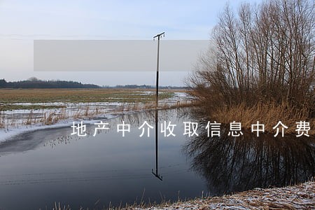 地产中介收取信息中介费违法吗 地产中介收取信息中介费违法吗