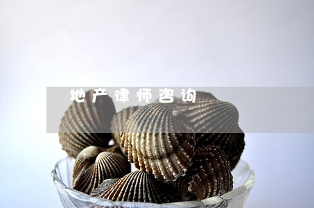 地产律师咨询 地产律师咨询