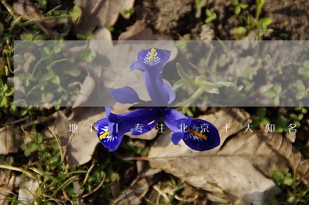 地区丨专注北京十大知名律师 地区丨专注北京十大知名律师