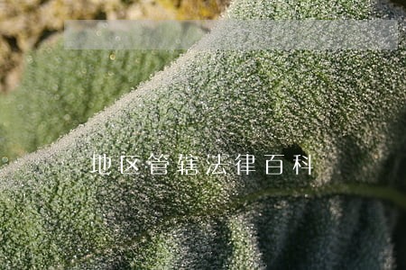 地区管辖法律百科 地区管辖法律百科
