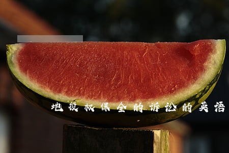 地役权保全的诉讼的英语翻译 地役权保全的诉讼的英语翻译