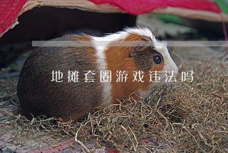 地摊套圈游戏违法吗 地摊套圈游戏违法吗