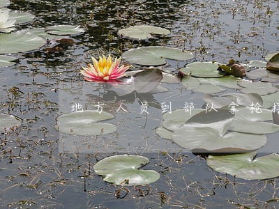 地方人员到部队拿枪摆拍不违法吗 地方人员到部队拿枪摆拍不违法吗