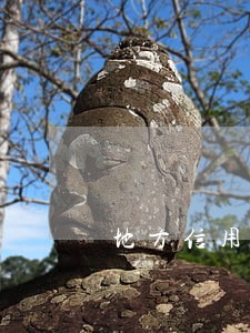 地方信用债逾期 地方信用债逾期