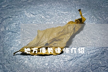 地方债务律师介绍 地方债务律师介绍