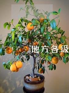 地方各级法院是什么机关 地方各级法院是什么机关