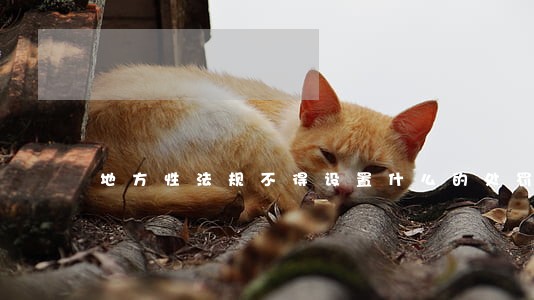 地方性法规不得设置什么的处罚 地方性法规不得设置什么的处罚