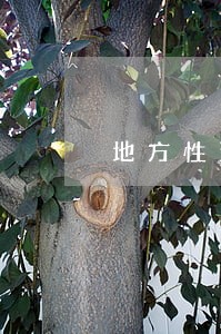 地方性法规制定权赋予 地方性法规制定权赋予