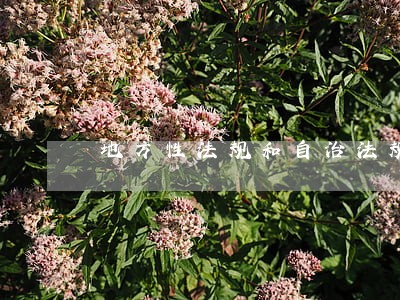 地方性法规和自治法规