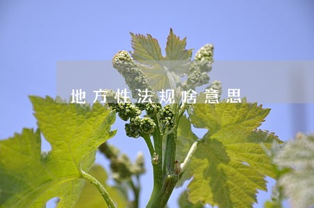 地方性法规啥意思 地方性法规啥意思