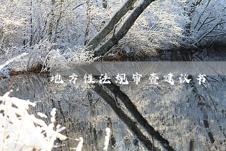 地方性法规审查建议书 地方性法规审查建议书