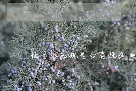 地方性法规是否有税收减免权 地方性法规是否有税收减免权