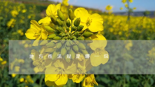 地方性法规是哪一级 地方性法规是哪一级