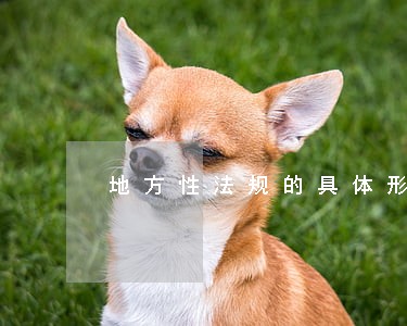 地方性法规的具体形式