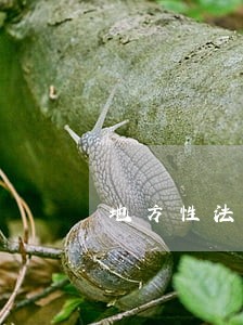地方性法规规定的内容 地方性法规规定的内容