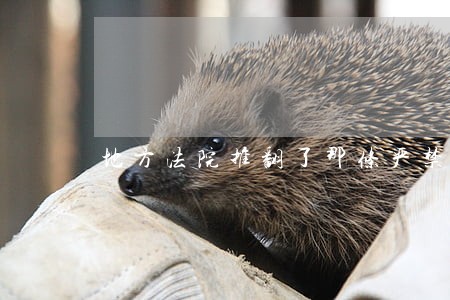 地方法院推翻了那条严禁 地方法院推翻了那条严禁