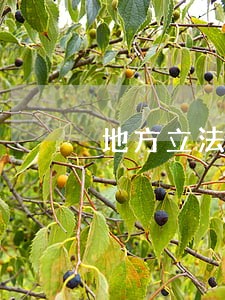 地方立法英语怎么说 地方立法英语怎么说