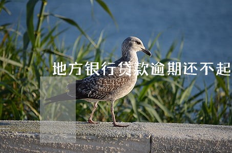 地方银行贷款逾期还不起怎么办 地方银行贷款逾期还不起怎么办