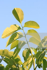 地方银行逾期怎么办 地方银行逾期怎么办
