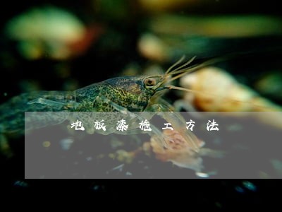地板漆施工方法 地板漆施工方法