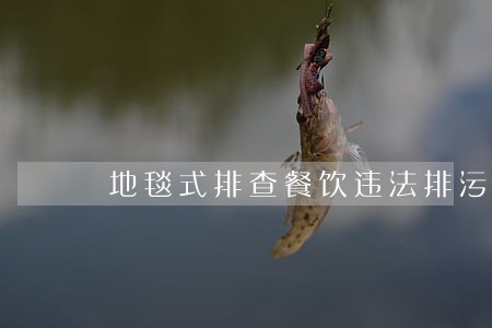 地毯式排查餐饮违法排污