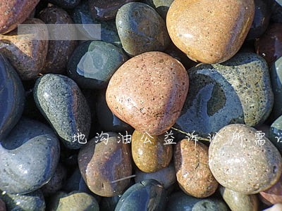 地沟油公益诉讼所需证据 地沟油公益诉讼所需证据