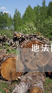 地法院网上冻结房产