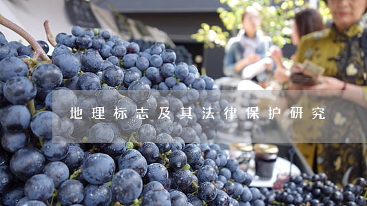 地理标志及其法律保护研究 地理标志及其法律保护研究