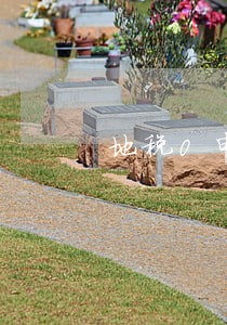 地税0申报逾期一个月和两个月 地税0申报逾期一个月和两个月