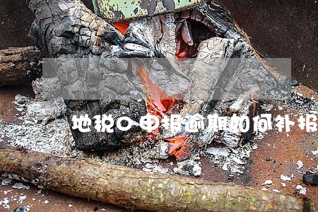地税0申报逾期如何补报 地税0申报逾期如何补报