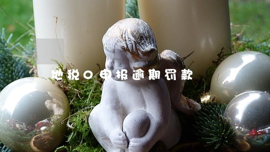 地税0申报逾期罚款 地税0申报逾期罚款