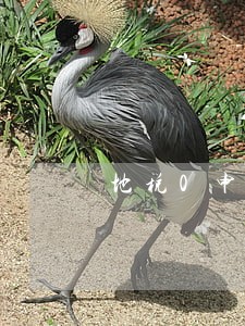地税0申报逾期罚款标准