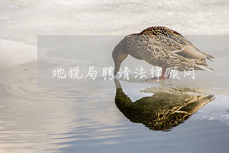 地税局聘请法律顾问 地税局聘请法律顾问